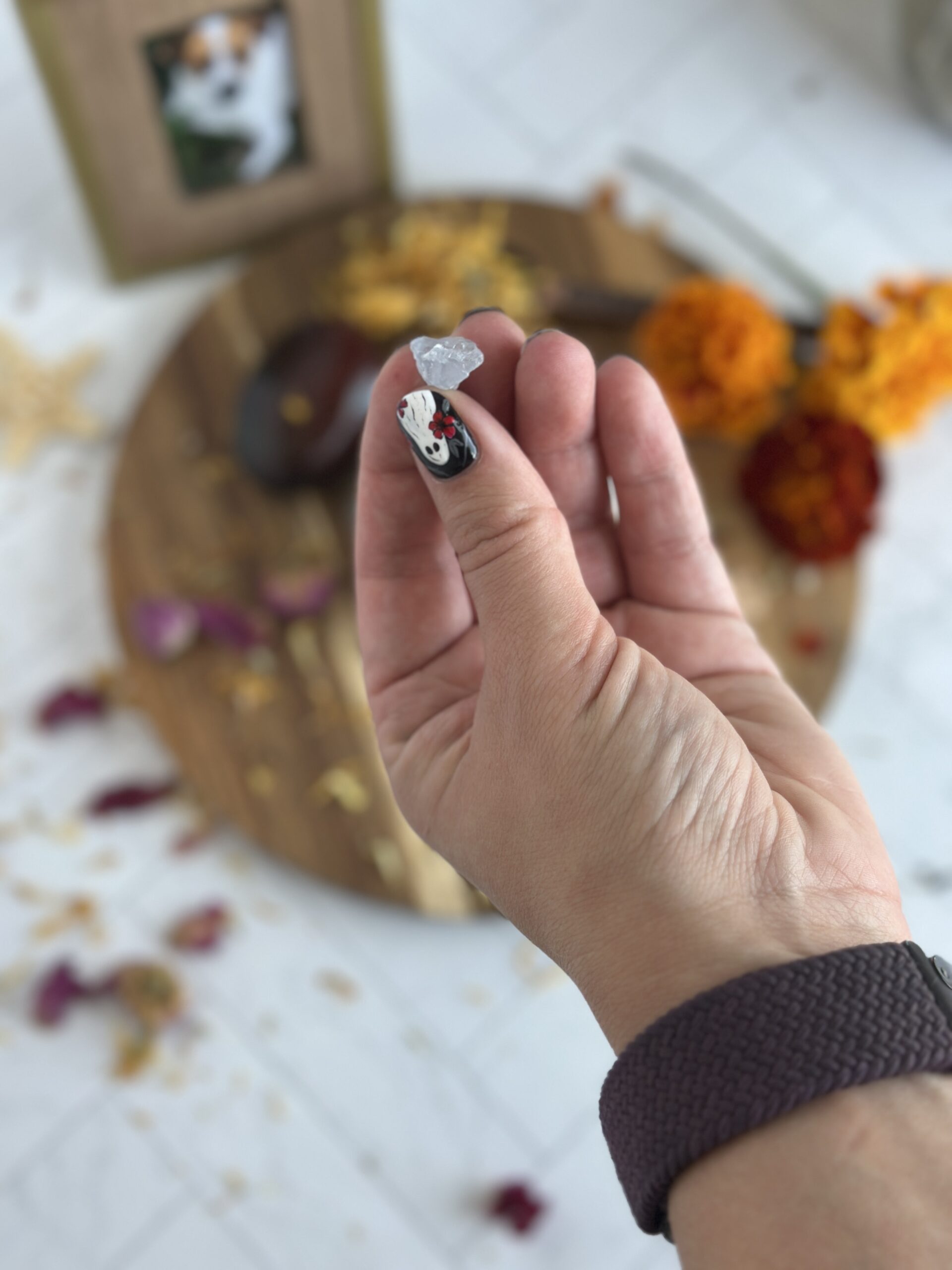 The Death tarot card by Charlie Claire Burgess, propped up on a vase of marigolds.